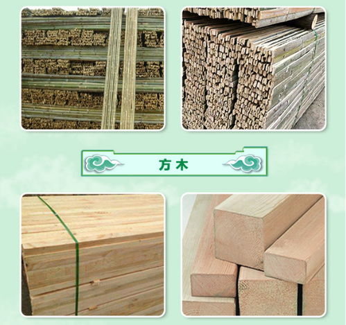 漯河竹笆生產(chǎn)廠家 圣卓建材以服務(wù)至上引領(lǐng)建筑建材行業(yè)